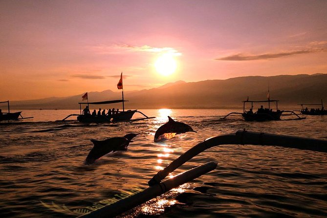 Lovina Dolphin Halfday Lovina Tour and Travel. Lovina Taxi, And Lovina Private Tour